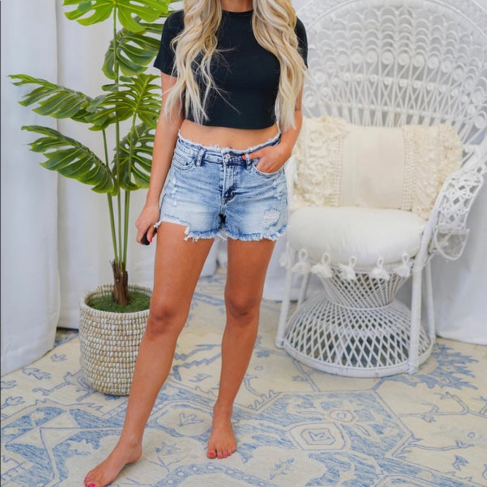 Vervet High Rise Small Shorts